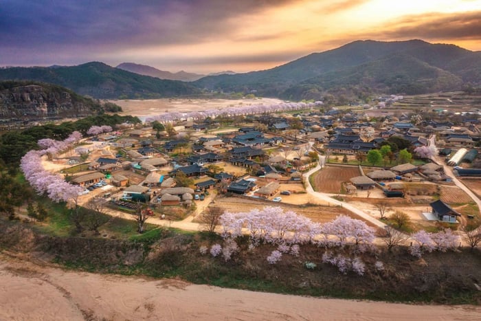 De Busan: Excursão de 3 Dias pelo Leste da Coreia com Traslado para Seul