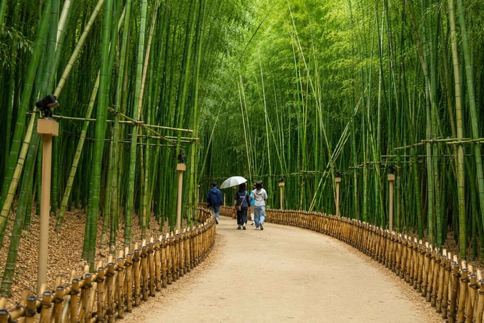 From Seoul - 2-Day Pohang, Gyeongju & Ulsan Tour