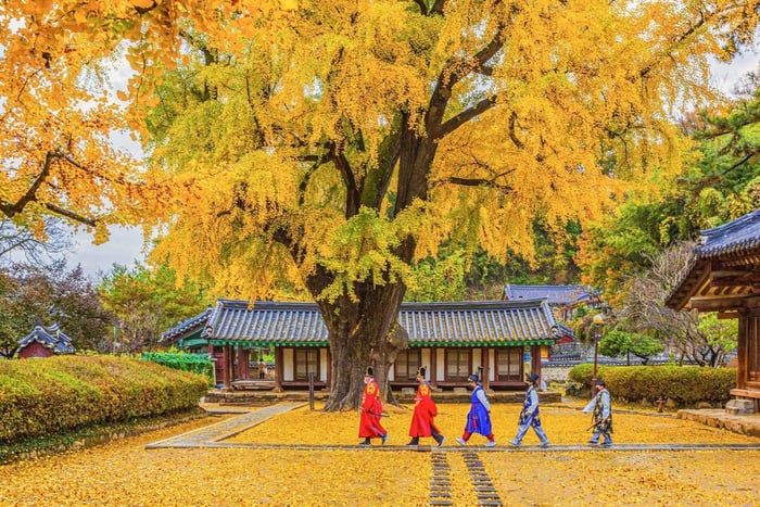 Desde Seúl: tour de día completo por el pueblo de hanoks de Jeonju
