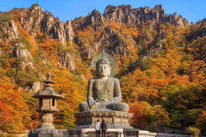 From Seoul - Mt. Seorak & Autumn Flower Festival