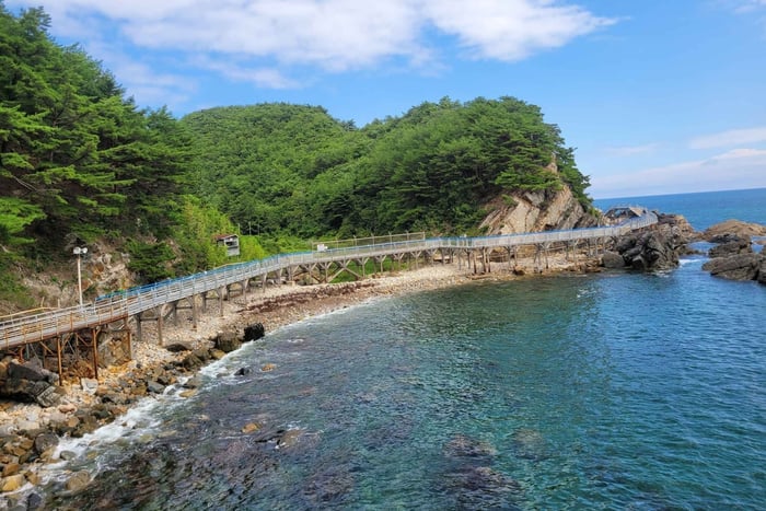 De Seul: Excursão Particular a Gangneung com Caminhada pela Trilha Costeira