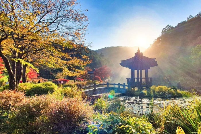 From Seoul - Suburbs 9hr Car Charter Tour with English Driver