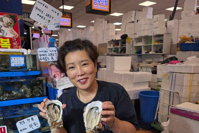 Guided City Tour with Street Food and Sashimi Dinner