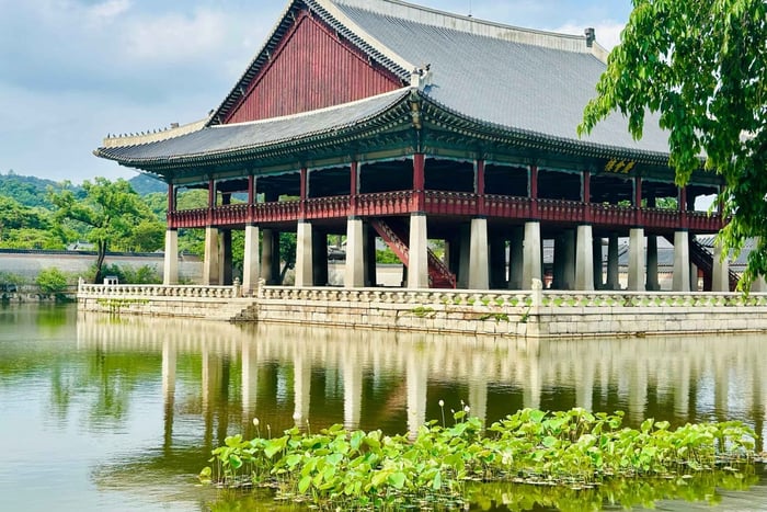 Gyeongbokgung og Paladsmuseet – guidet byvandring