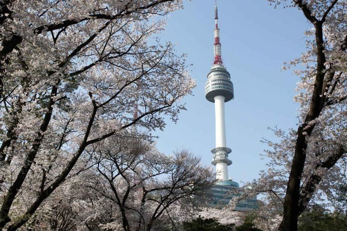 Gyeongbokgung Palace, Namsan Park & Insadong trip