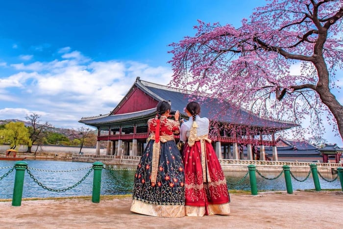 Rundtur till Gyeongbokgung-palatset, Namsan Park och mer