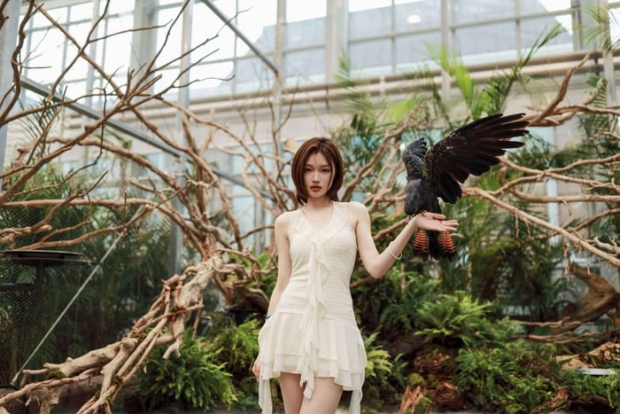Gyeonggi: Gaypeong Begonia Bird Park Entry Ticket