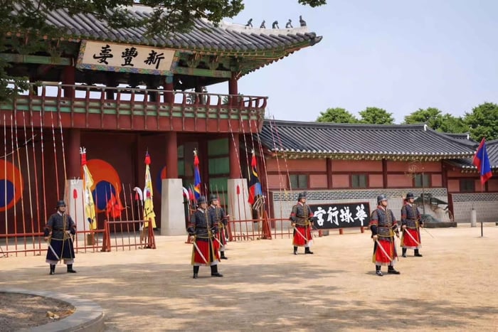 Incheon Airport Layover Tour – Explore Seoul in Hours