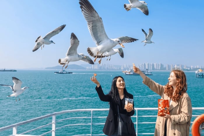 Incheon Chinatown, Rail Bike, and Eco Park from Seoul