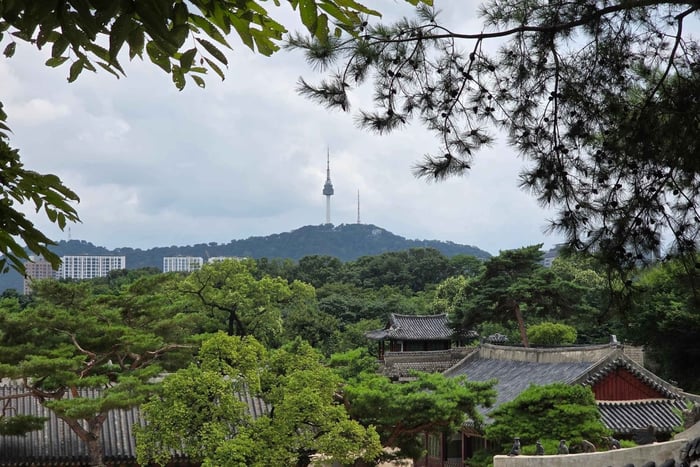 Itaewon to Namsan Walking Tour