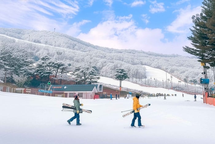 Jisan Forest Ski Resort and Everland 1 Day Tour