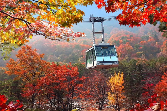 Mt.Seorak(+CableCar Option)+Sokcho Fish Market&Beach