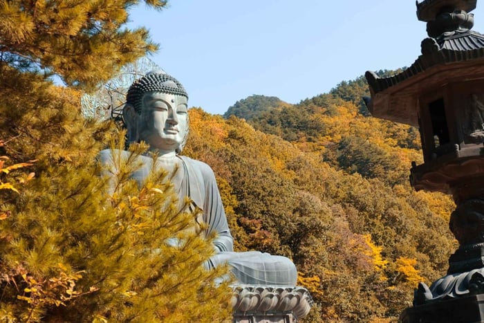Mt. Seoraksan National Park Autumn Foliage Day Tour