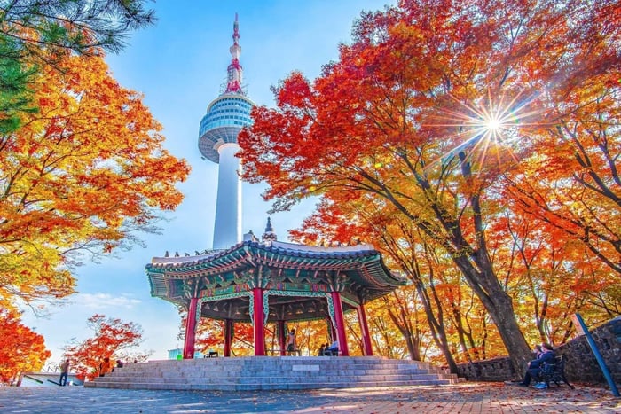 kombibillett til N Seoul Tower Observatory og taubane