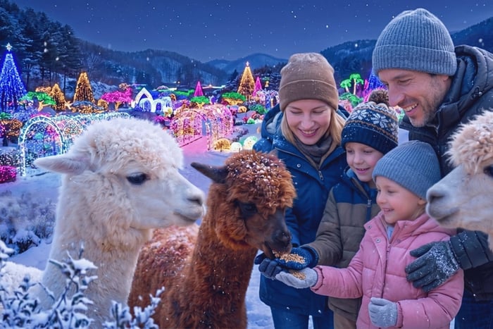 Nami and K-Garden with Opt. Alpaca Winter Tour from Seoul