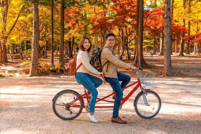 Seul: Excursão Nami+Hanbok+Cachoeira (+Bicicleta Ferroviária ou Morango)