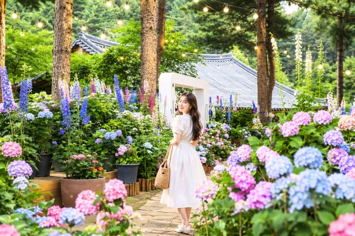 Nami, Petite France and Morning Calm Garden tour from Seoul
