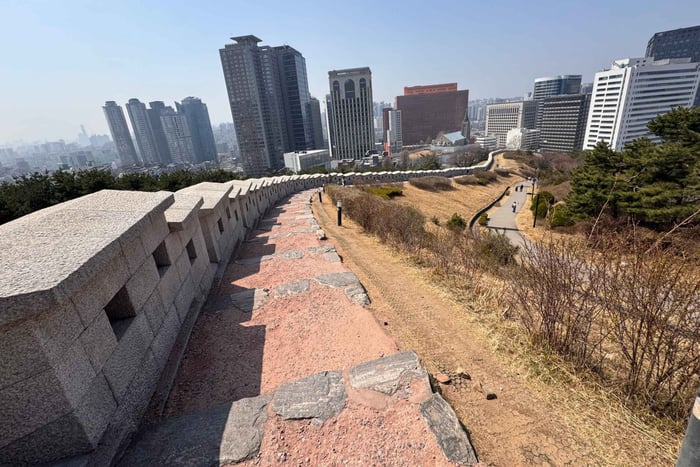 Namsan Mountain and City Wall Hike with Korean Noodle Lunch