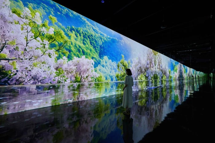パジュ：ミュージアムHEI没入型メディアアート展示入場チケット