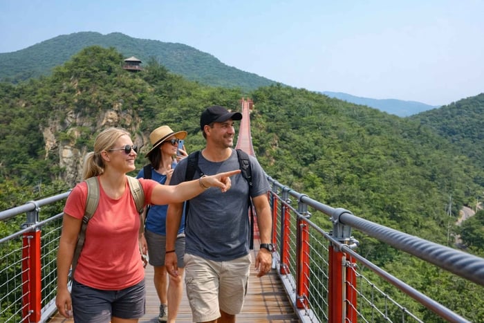 Private DMZ Highlights & Suspension Bridge Tour from Seoul