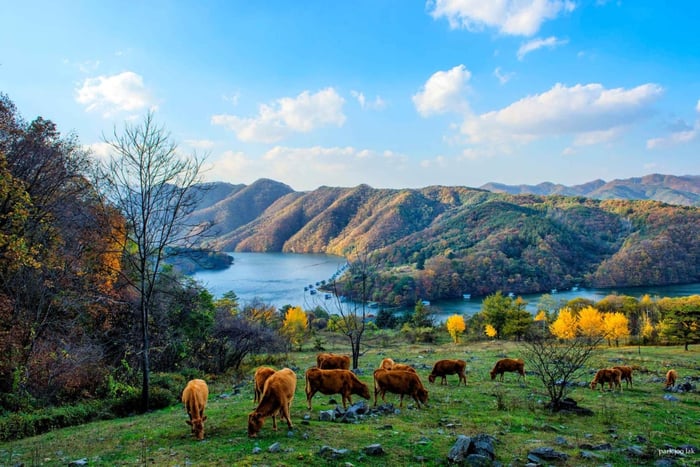 Private Luxury Scenic Escape | Beyond Nami Island
