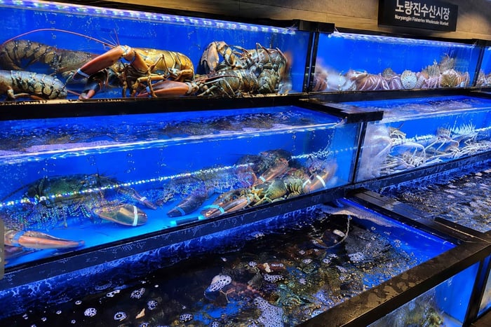 Seafood Market Tour & Wine Dinner with a Sommelier