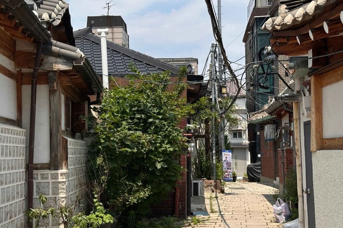 Seoul Seochon Walking Tour: Hidden Alleys & Market Culture
