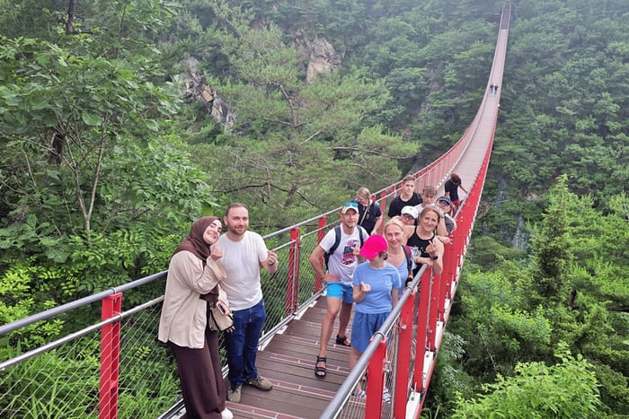 Small-Group DMZ Tour with North Korea Experience Hall