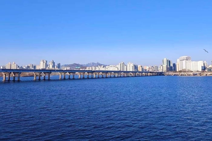 Small Group Trendy Tour Hongdae &COEX【CHINESE Driver】