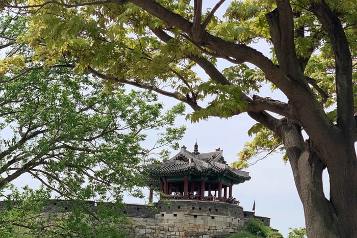 Suwon: historia y degustación con postre real y té