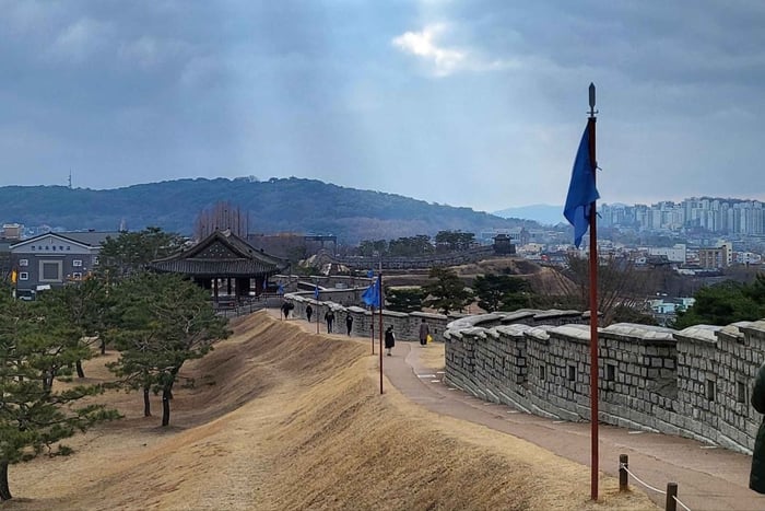 Privat chartertur til Suwon Hwaseong og eksotisk mad