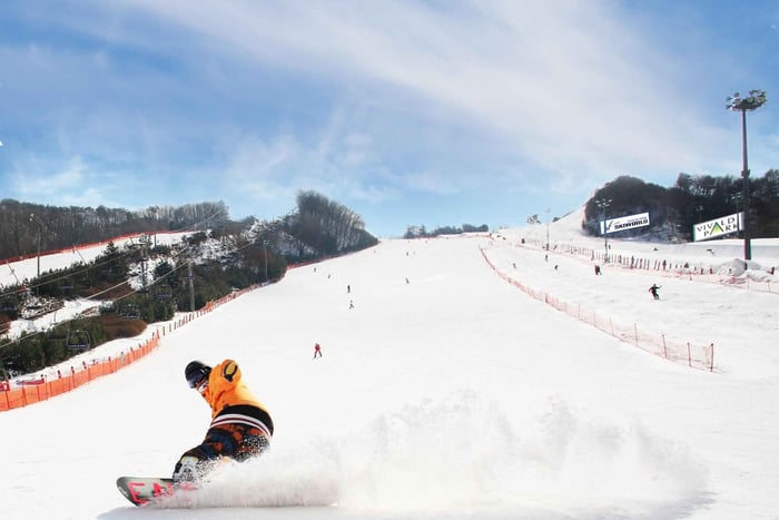 Vivaldi Park Winter Ski with Eobi Ice Valley Day Tour