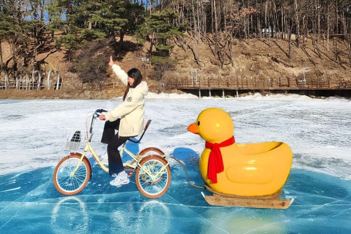 Winter Day Tour in Pocheon (+Strawberry Picking)