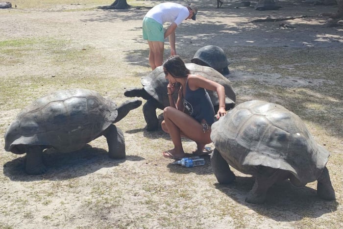 Visite guidée de Curieuse, Saint-Pierre, barbecue et 2 arrêts de snorkeling
