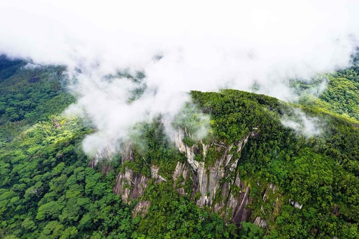 Fra Mahe: Guidet tur på naturstien til Morne Blanc