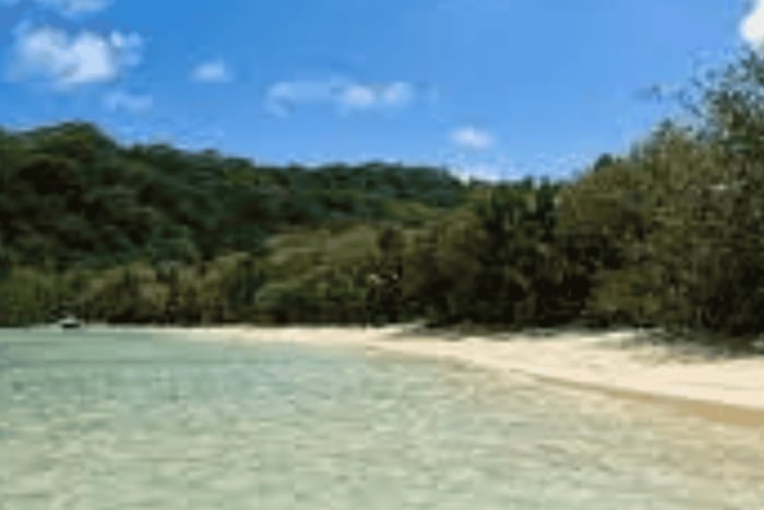 Mahe Discovery Bus Tour