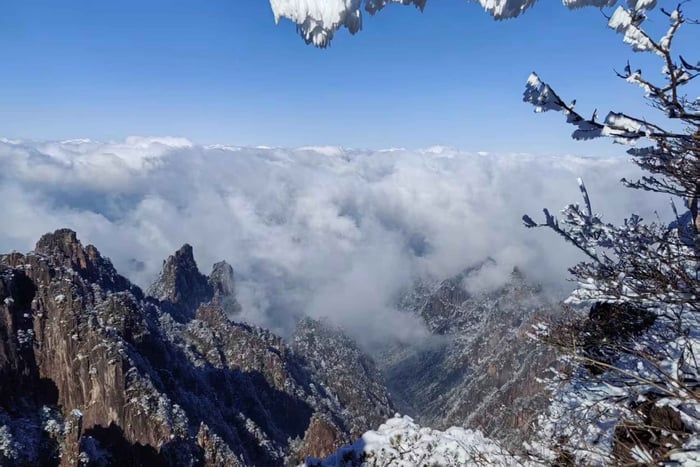 From Shanghai: Huangshan Private Day Trip by High-Speed Rail