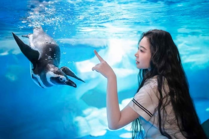 Szanghaj: bilet wstępu do oceanarium z kodem QR