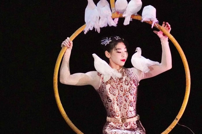 Shanghai ERA 2: Acrobatic Show & Stage Hacks Ticket