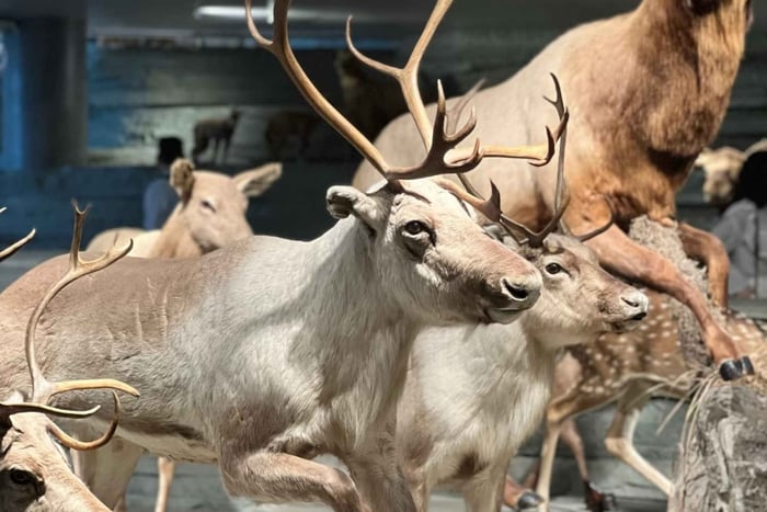 Xangai: Museu de História Natural Ingressos Serviço de compra