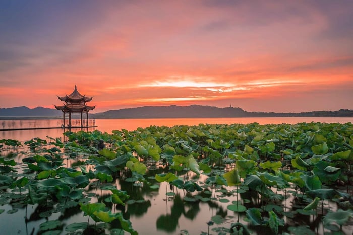 Shanghai: Privat guidet tur til Hangzhou med kuletog