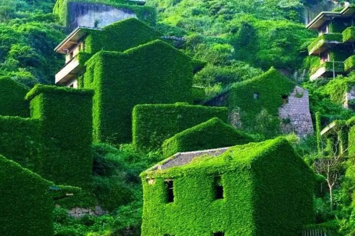 Xangai: Passeio Particular de 3 Dias em Shengsi e Fazenda Marinha Flutuante