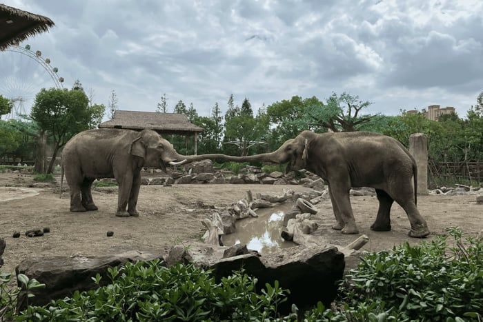 Endagstur til Wild Animal Park med safaribus