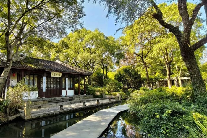Zhujiajiao Cultural Experience: Boat Ride & Zongzi Making