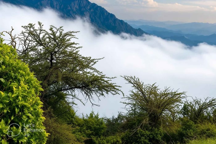 Asir: viaje de aventura y miradores panorámicos