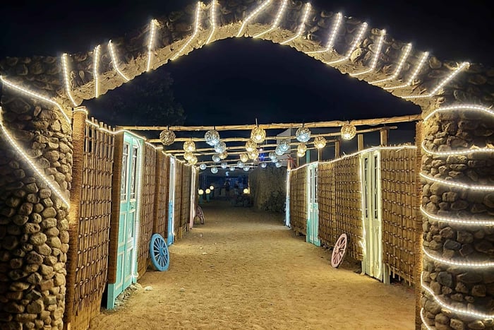 Desert Buggy Ride, Dinner, and Stargazing