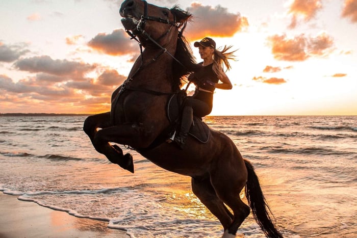 Da Hurghada: Tour a cavallo della baia di Makadi