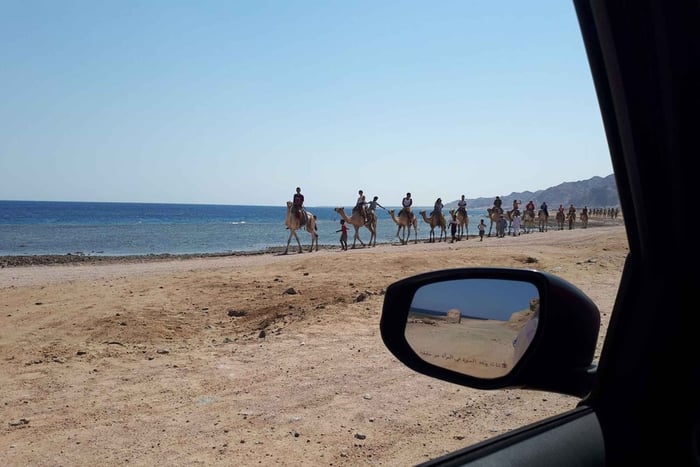 From Sharm El Sheikh - Full Day In Dahab with Snorkeling