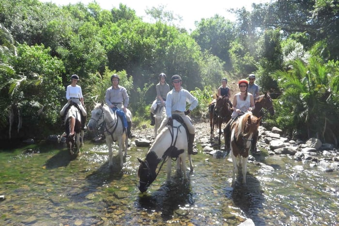 Kemer: Scenic Horseback Riding Tour with Pickup