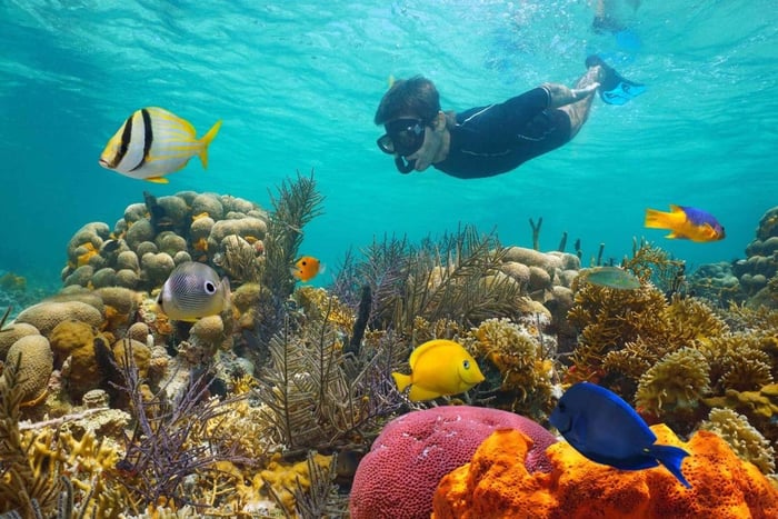 Luxury boat Cruise with Snorkeling & Lunch